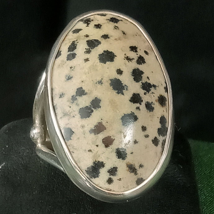 Dalmation Jasper Silver Ring