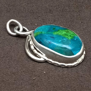 Parrot Wing Chrysocolla Silver Pendant