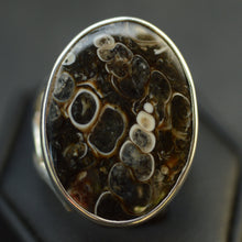 Load image into Gallery viewer, Turitella Agate Gemstone Silver Ring