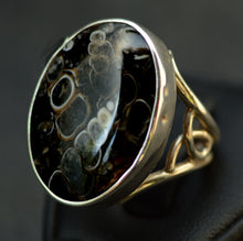 Load image into Gallery viewer, Turitella Agate Gemstone Silver Ring