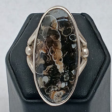 Load image into Gallery viewer, Turitella Agate Gemstone Silver Ring