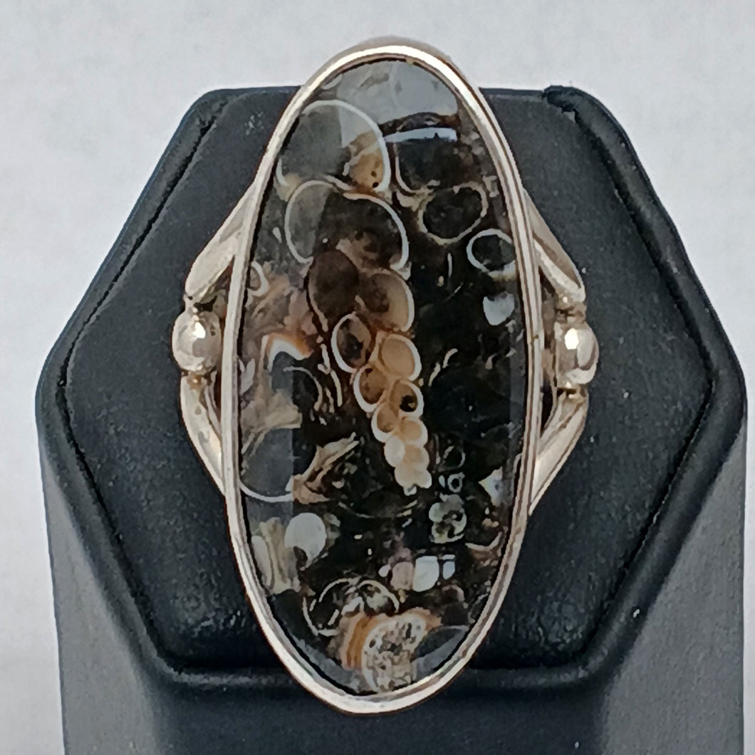 Turitella Agate Gemstone Silver Ring