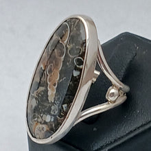 Load image into Gallery viewer, Turitella Agate Gemstone Silver Ring