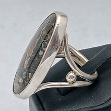 Load image into Gallery viewer, Turitella Agate Gemstone Silver Ring