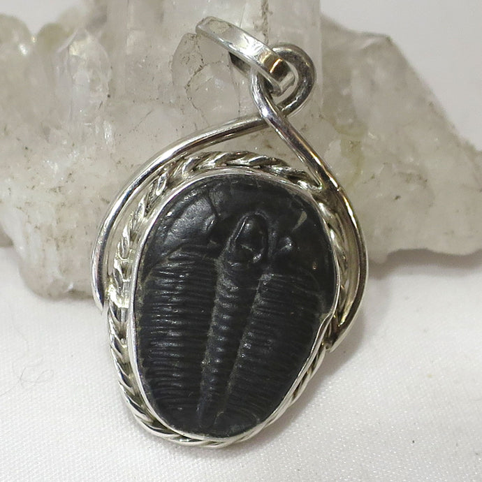 Trilobite Fossil Sterling Silver Pendant
